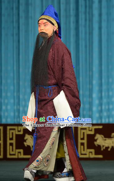 Chun Qiu Bi Chinese Peking Opera Laosheng Garment Costumes and Headwear Beijing Opera Apparels Elderly Male Wang Shaozhi Clothing