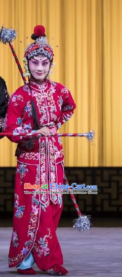 Chinese Beijing Opera Female Swordsman Apparels Yang Paifeng Costumes and Headpieces Traditional Peking Opera Martial Lady Dress Garment