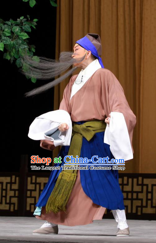 Sang Yuan Ji Zi Chinese Peking Opera Laosheng Garment Costumes and Headwear Beijing Opera Old Man Deng Bodao Apparels Clothing