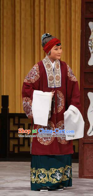 Chinese Beijing Opera Pantaloon Zheng Jingchi Apparels Huo Xiaoyu Costumes and Headpieces Traditional Peking Opera Elderly Female Dress Dame Garment