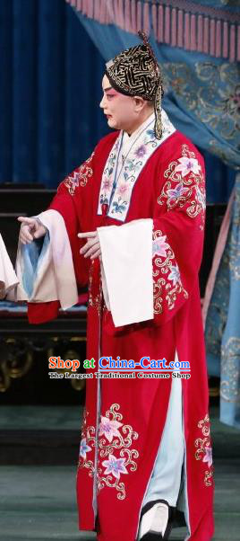 Huo Xiaoyu Chinese Peking Opera Niche Li Yi Garment Costumes and Headwear Beijing Opera Scholar Apparels Xiaosheng Wedding Clothing