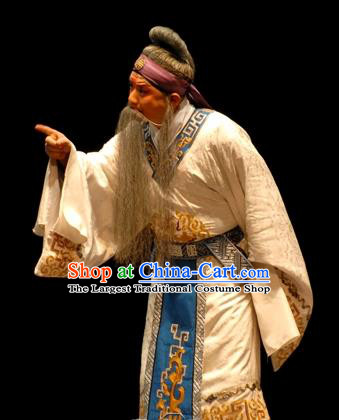 Wu Zetian Chinese Peking Opera Laosheng Garment Costumes and Headwear Beijing Opera Martial Male Apparels Scholar Luo Binwang Clothing