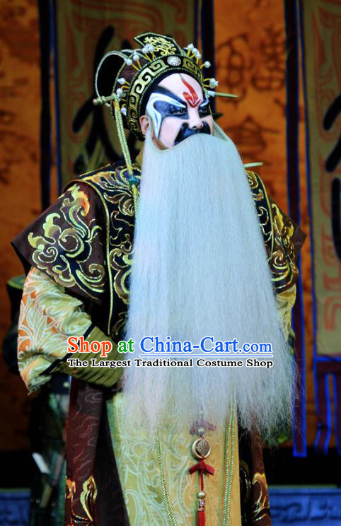 King Zhao Wuling Chinese Peking Opera Emperor Garment Costumes and Headwear Beijing Opera Elderly Male Apparels Lord Zhao Yong Clothing