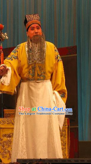 Fish and Algae Palace Chinese Peking Opera Laosheng Garment Costumes and Headwear Beijing Opera Elderly Male Apparels Emperor Liu Bang Clothing