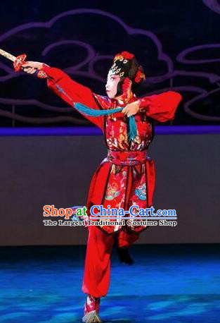Chinese Beijing Opera Female Swordsman Red Apparels Lan Ruo Wu Geng Costumes and Headdress Traditional Peking Opera Wudan Dress Heroine Garment