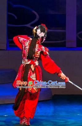 Chinese Beijing Opera Female Swordsman Red Apparels Lan Ruo Wu Geng Costumes and Headdress Traditional Peking Opera Wudan Dress Heroine Garment