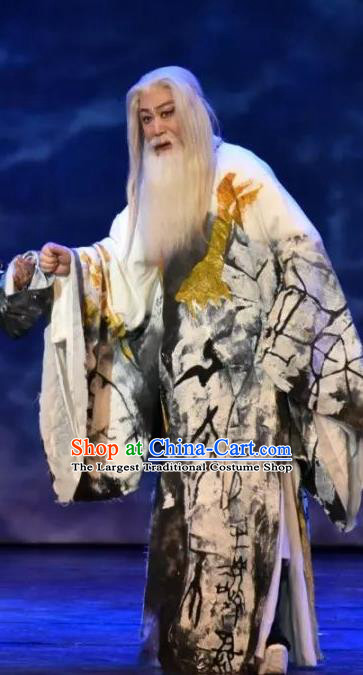 Da Shun Chinese Peking Opera Laosheng Garment Costumes and Headwear Beijing Opera Elderly Male Apparels Emperor Shun Clothing