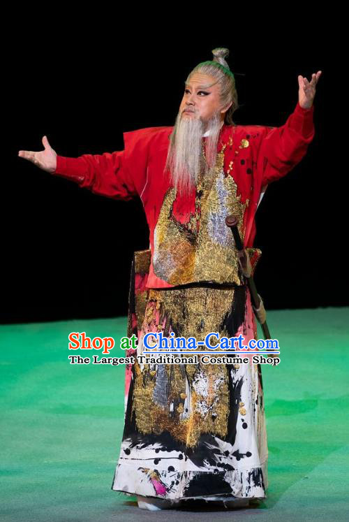 Da Shun Chinese Peking Opera Elderly Male Shun Garment Costumes and Headwear Beijing Opera Emperor Apparels Monarch Clothing