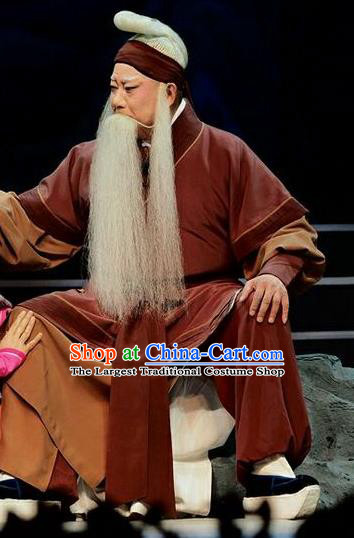 Qi Nv Wu Rong Chinese Peking Opera Laosheng Garment Costumes and Headwear Beijing Opera Elderly Male Apparels Clothing