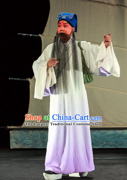 Six Chapters of A Floating Life Chinese Peking Opera Scholar Shen Fu Apparels Costumes and Headpieces Beijing Opera Laosheng Garment Elderly Male Clothing