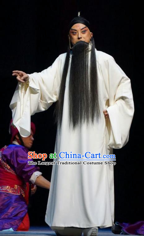 Man Jiang Hong Chinese Peking Opera Distress Male Apparels Costumes and Headpieces Beijing Opera Garment Laosheng Yue Fei Clothing