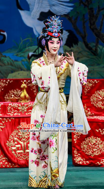 Chinese Beijing Opera Hua Tan Garment The Dream Of Red Mansions Costumes and Hair Accessories Traditional Peking Opera Actress Wang Xifeng Dress Noble Mistress Apparels