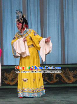 Chinese Beijing Opera Mistress Wang Xifeng Garment The Dream Of Red Mansions Costumes and Hair Accessories Traditional Peking Opera Young Female Yellow Dress Apparels