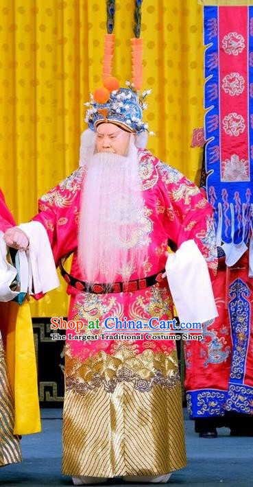 Zhu Lian Zhai Chinese Peking Opera Laosheng Apparels Costumes and Headpieces Beijing Opera Elderly Male Garment King Li Keyong Clothing