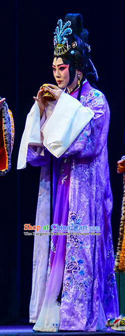 Chinese Beijing Opera Young Female Apparels Anecdote of Jian An Costumes and Headdress Traditional Peking Opera Actress Dress Diva Cai Wenji Garment