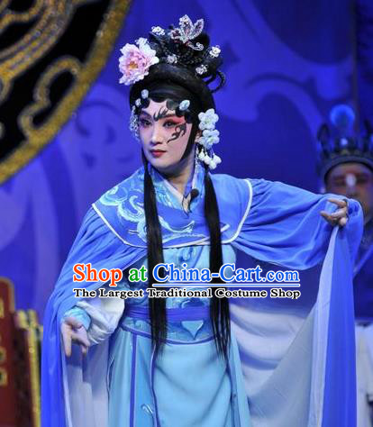 Chinese Beijing Opera Swordsman Apparels Qi Nv Wu Rong Costumes and Headdress Traditional Peking Opera Wudan Dress Martial Female Garment