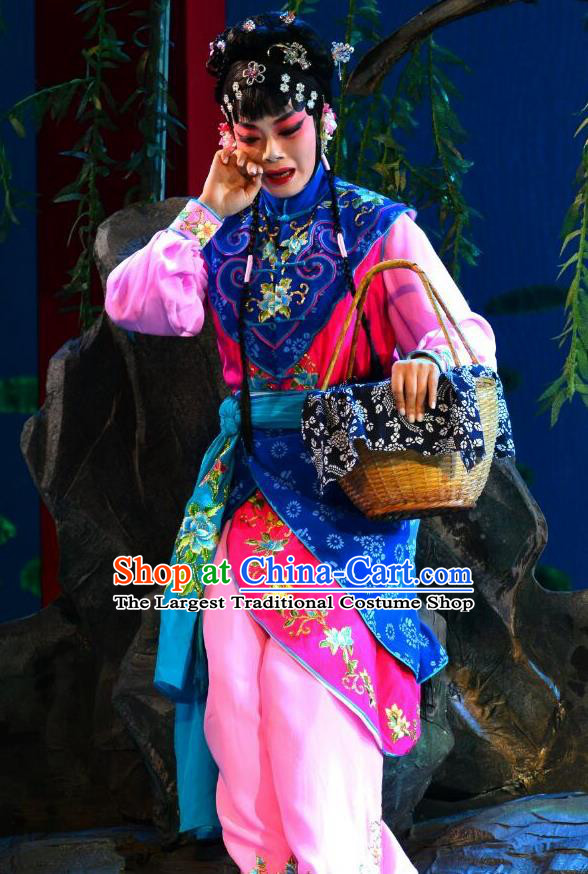 Chinese Beijing Opera Xiaodan Garment Hong Ling Yan Costumes and Hair Accessories Traditional Peking Opera Village Girl Li Fengjie Dress Apparels