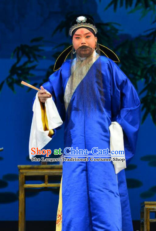 Hong Ling Yan Chinese Peking Opera Elderly Male Apparels Costumes and Headpieces Beijing Opera Laosheng Garment Clothing