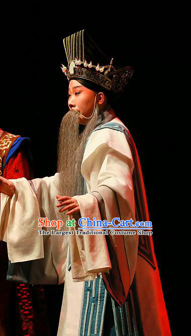 Xi Zi Zai Wang Chinese Peking Opera Old Man Apparels Costumes and Headpieces Beijing Opera Elderly Male Garment Preceptor Wu Zixu Clothing