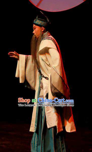 Xi Zi Zai Wang Chinese Peking Opera Old Man Apparels Costumes and Headpieces Beijing Opera Elderly Male Garment Preceptor Wu Zixu Clothing