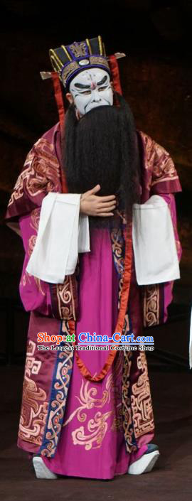 Wu Qi Chinese Peking Opera Official Gong Shu Apparels Costumes and Headpieces Beijing Opera Jing Role Garment Clothing
