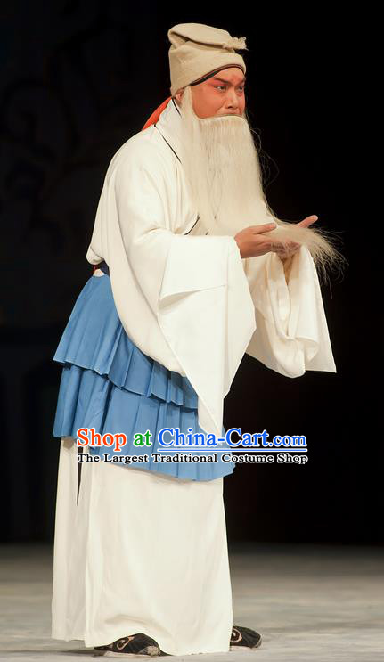 Zhou Ren Xian Sao Chinese Peking Opera Elderly Male Apparels Costumes and Headpieces Beijing Opera Laosheng Garment Old Servant Clothing