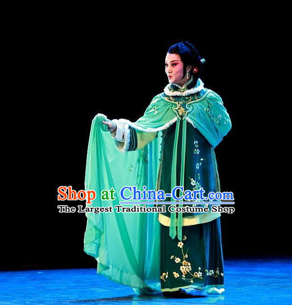 Chinese Beijing Opera Young Female Mei Fen Garment Luo Mei Yin Costumes and Hair Accessories Traditional Peking Opera Mistress Dress Actress Apparels