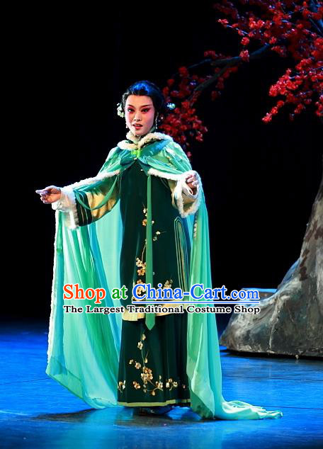 Chinese Beijing Opera Young Female Mei Fen Garment Luo Mei Yin Costumes and Hair Accessories Traditional Peking Opera Mistress Dress Actress Apparels