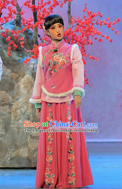 Chinese Beijing Opera Rich Lady Garment Luo Mei Yin Costumes and Hair Accessories Traditional Peking Opera Xiaodan Qin Dress Young Beauty Apparels