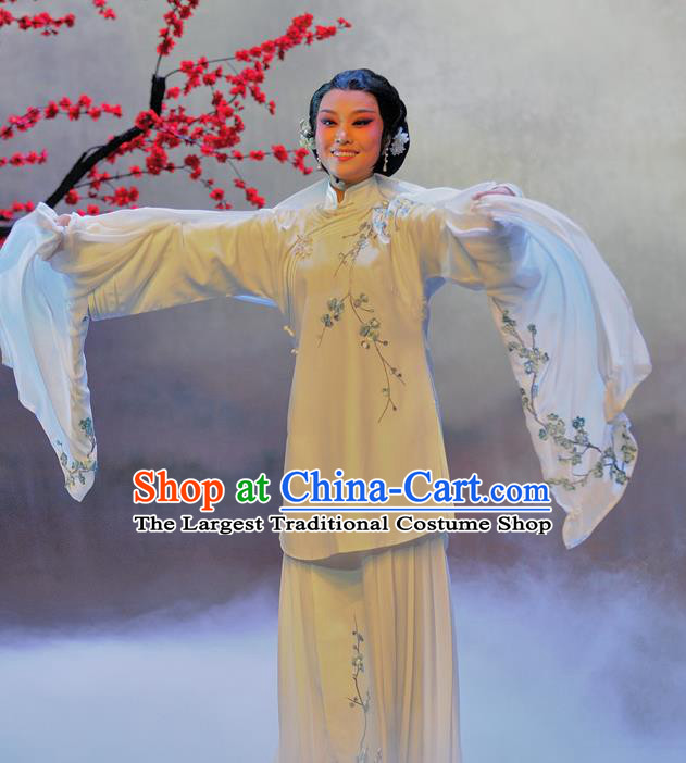 Chinese Beijing Opera Garment Luo Mei Yin Costumes and Hair Accessories Traditional Peking Opera Young Female Dress Diva Mei Fen Apparels