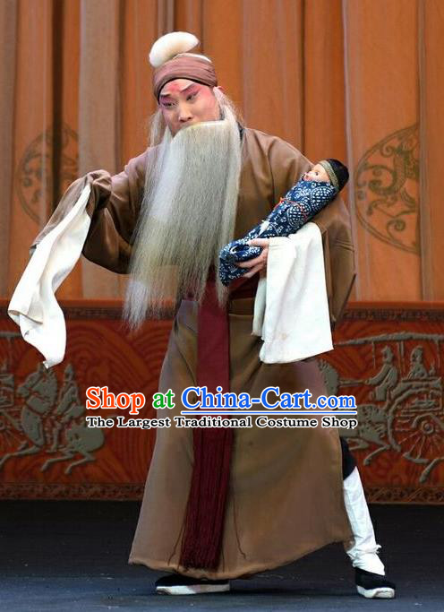 Li Sanniang Chinese Peking Opera Laosheng Apparels Costumes and Headpieces Beijing Opera Elderly Male Garment Clothing