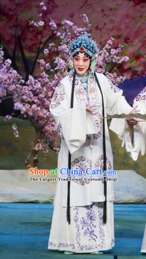 Chinese Beijing Opera Diva Garment Ye Zhu Lin Costumes and Hair Accessories Traditional Peking Opera Hua Tan Dress Young Mistress Apparels