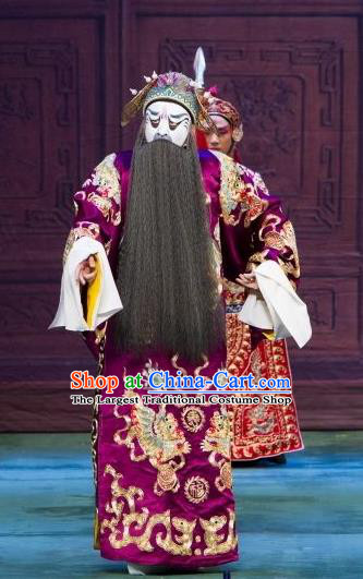 Ye Zhu Lin Chinese Peking Opera Painted Face Apparels Costumes and Headpieces Beijing Opera Elderly Male Garment Grand Commandant Gao Qiu Clothing