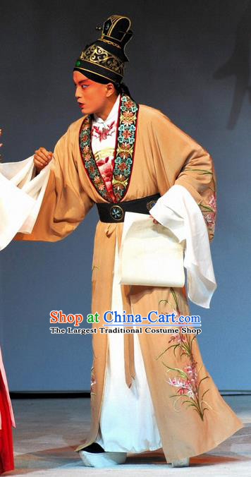 Tang Wan Chinese Peking Opera Scholar Apparels Costumes and Headpieces Beijing Opera Poet Lu You Garment Young Male Clothing