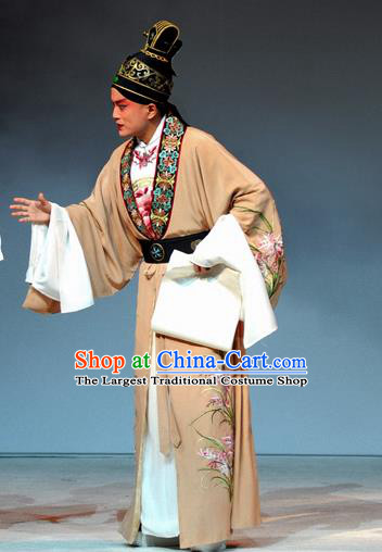 Tang Wan Chinese Peking Opera Scholar Apparels Costumes and Headpieces Beijing Opera Poet Lu You Garment Young Male Clothing