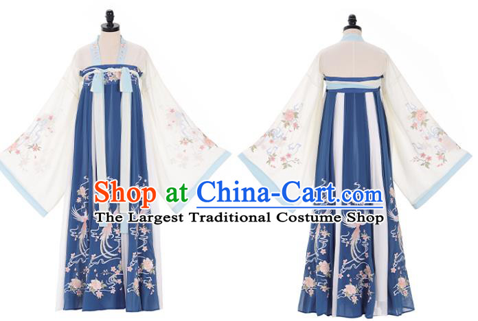 Chinese Traditional Embroidered Hanfu Dress Ancient Court Lady Garment Tang Dynasty Imperial Consort Historical Costumes for Women