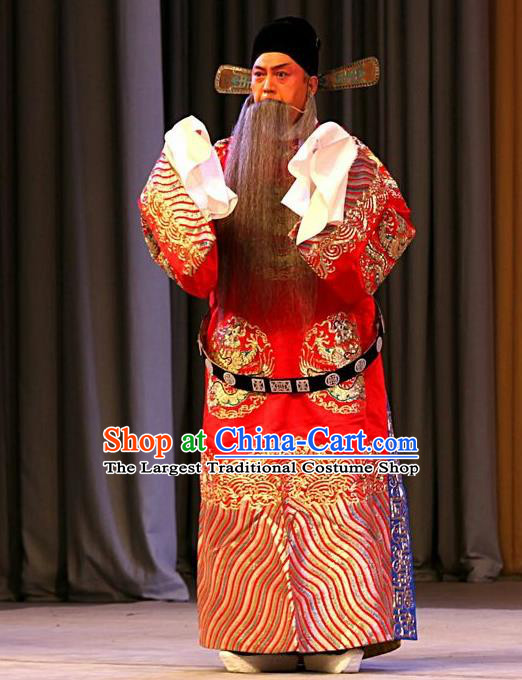Jin Yunu Chinese Peking Opera Official Lin Run Apparels Costumes and Headpieces Beijing Opera Elderly Male Garment Python Embroidered Robe Clothing