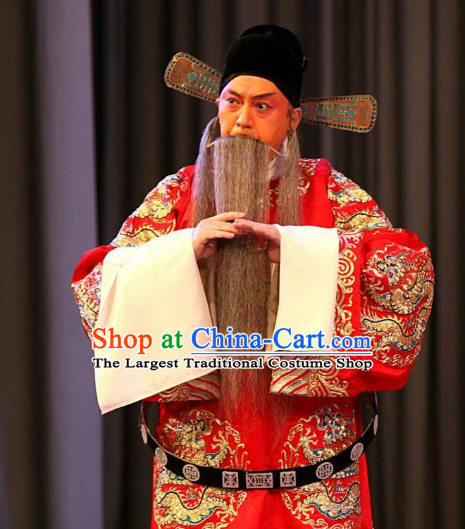 Jin Yunu Chinese Peking Opera Official Lin Run Apparels Costumes and Headpieces Beijing Opera Elderly Male Garment Python Embroidered Robe Clothing