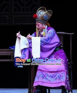 Xiang Lian Case Chinese Peking Opera Old Man Apparels Costumes and Headpieces Beijing Opera Court Eunuch Garment Clothing