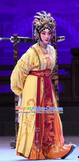 Chinese Beijing Opera Princess Garment Xiang Lian Case Costumes and Hair Accessories Traditional Peking Opera Actress Dress Hua Tan Apparels