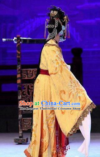 Chinese Beijing Opera Princess Garment Xiang Lian Case Costumes and Hair Accessories Traditional Peking Opera Actress Dress Hua Tan Apparels