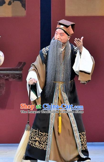 Ming City Wall Chinese Peking Opera Laosheng Apparels Costumes and Headpieces Beijing Opera Elderly Male Garment Taoist Clothing