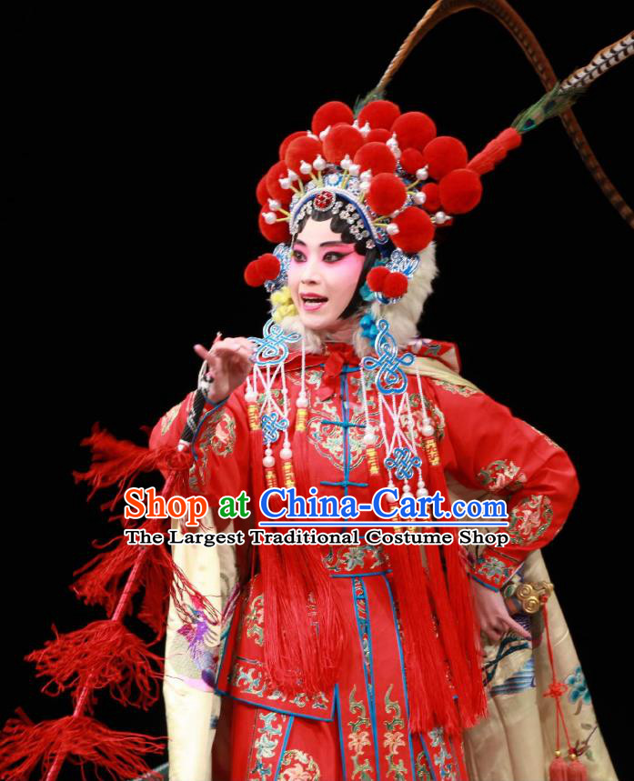 Chinese Beijing Opera Swordswoman Xu Peizhu Garment Actress Costumes and Hair Accessories Traditional Peking Opera Wudan Dress Martial Female Apparels