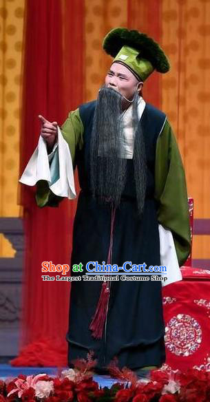 Jie Mei Yi Jia Chinese Peking Opera Laosheng Apparels Costumes and Headpieces Beijing Opera Elderly Male Garment Landlord Zhang Youwang Clothing