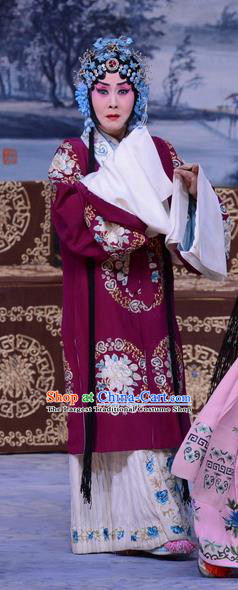 Chinese Beijing Opera Young Female Garment Costumes and Hair Accessories The Jade Hairpin Traditional Peking Opera Hua Tan Dress Diva Zhang Yuzhen Apparels