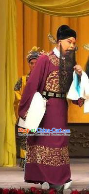 Zeng Ti Pao Chinese Peking Opera Old Man Apparels Costumes and Headpieces Beijing Opera Official Zhang Lu Garment Clothing