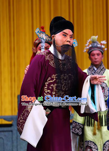 Zeng Ti Pao Chinese Peking Opera Old Man Apparels Costumes and Headpieces Beijing Opera Official Zhang Lu Garment Clothing
