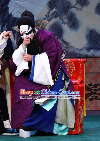 Zeng Ti Pao Chinese Peking Opera Treacherous Official Xu Jia Apparels Costumes and Headpieces Beijing Opera Painted Role Garment Clothing