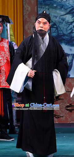 Zeng Ti Pao Chinese Peking Opera Elderly Male Apparels Costumes and Headpieces Beijing Opera Garment Laosheng Fan Ju Clothing