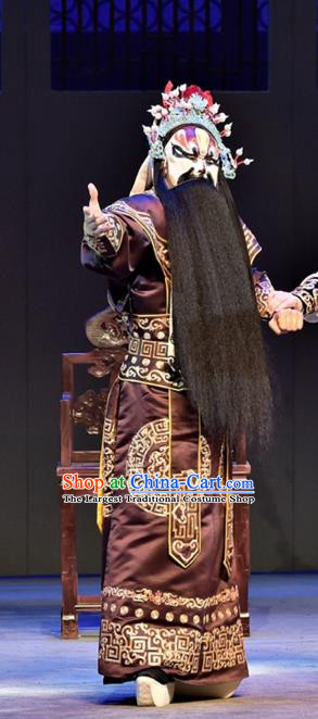 Ming City Wall Chinese Peking Opera Wusheng Xu Shicheng Apparels Costumes and Headpieces Beijing Opera Martial Male Garment Swordsman Clothing